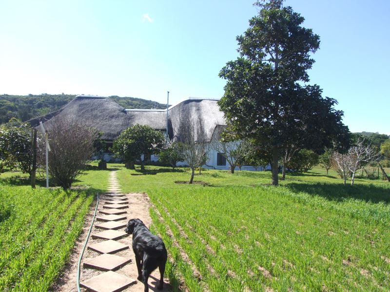 Commercial Property for Sale in Chelsea Eastern Cape